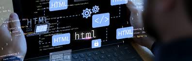 Exploring the World of Computer Software